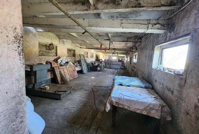Spațiu comercial, de 600 mp, în Sânandrei - 7