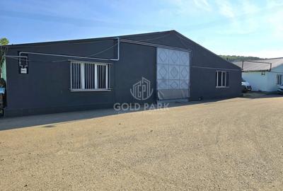 Spatiu Industrial - Zona Autostrazii A3 - Curte / Parcari - 4