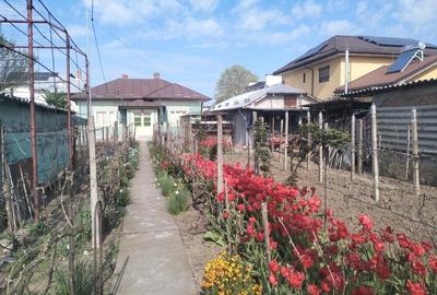 Casă cu Canalizare în Central - 5