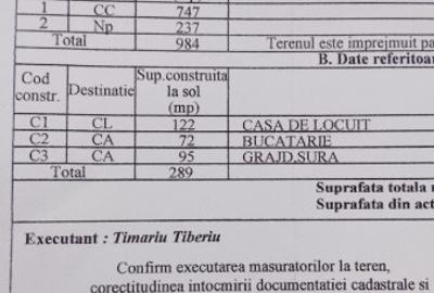Casă cu 7 camere cu Teren 984 Mp în Silvașu de Sus - 1