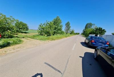 Teren 3000 mp - Comuna 1 Decembrie - Ilfov - 4