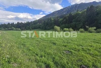 Teren intravilan Zarnesti Plaiul Foii - 17