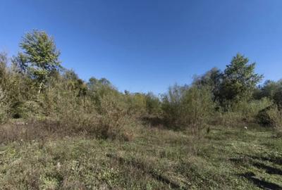 Teren de 7178 mp, în Frătăuții Vechi - 3