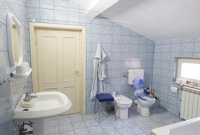 De vanzare casa mare P+M cu anexe in Beius - 6