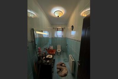 House for sale, 6 Rooms, 242 sqm, 800 sqm, Vetiș - 6