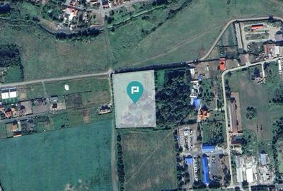 Teren intravilan cu balta de pescuit - 3