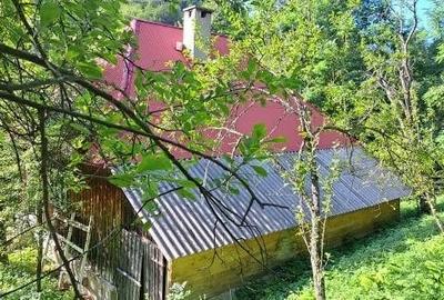 Casă cu Teren 30 Mp în Poșaga - 2