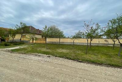 Vand casa in Judetul Arad - 5