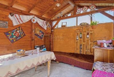 Zona linistita | Suprafata Generoasa - 14