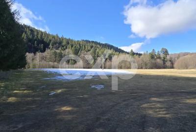 Teren de 19200 mp, în Brădet - 3