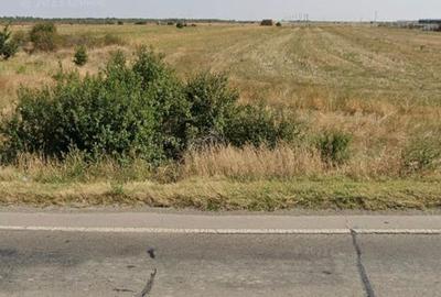 Teren de 6500 mp, în Spătaru - 1