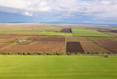 Teren de 50000 mp in Arad - 2