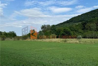 Teren agricol intravilan de 4941 mp, în Mierea