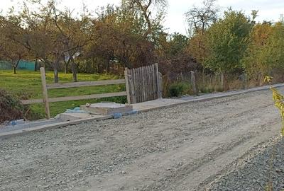 Teren Construcții intravilan de 1554 mp, în Albeștii de Argeș - 2
