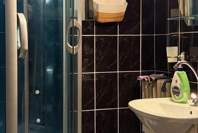 Apartament cu 2 camere decomandat în Debarcader - 8