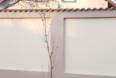 Casă cu 5 camere cu Teren 956 Mp în Balotești - 4