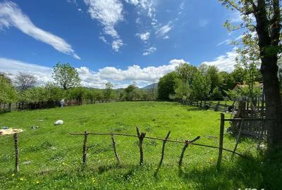 Casă cu 6 camere în Bran - 5