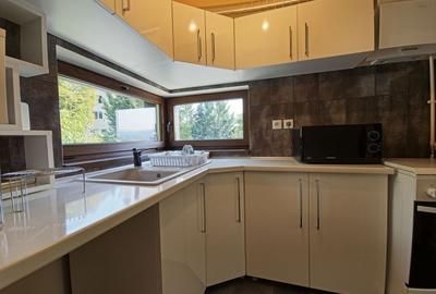 Apartament 2 camere, 65mp utili, etaj 2, mobilat si utilat, Grigorescu - 12