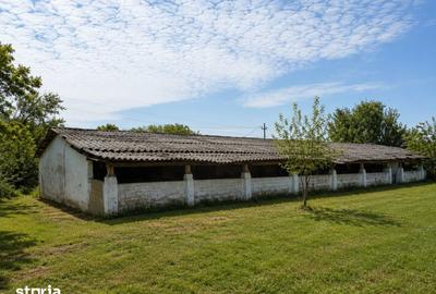 Spațiu comercial, de 1,500 mp, în Avram Iancu - 8
