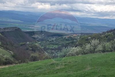 Teren intravilan de 23600 mp, în Inuri - 5