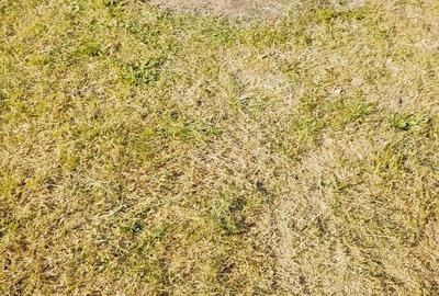 Casă cu 6 camere cu Teren 2900 Mp în Gurbediu - 5