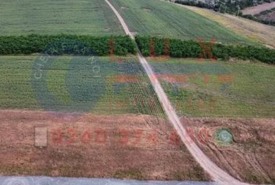 Teren de 481 mp, în Mineri - 2