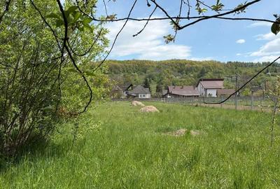 Teren de 1386 mp, în Tisa - 4
