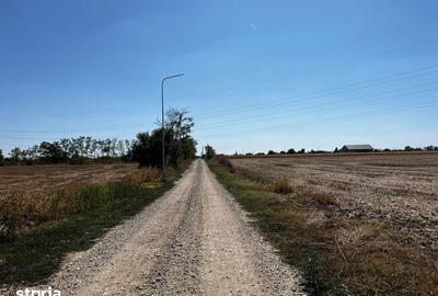 Teren de 12500 mp, în Periș - 1
