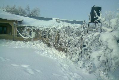 Casă cu 4 camere în Oncești - 7