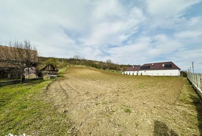 Casă cu 5 camere cu Teren 4629 Mp în Mica