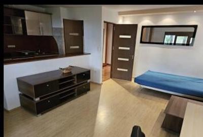 Timpuri noi panait cerna parter - 6