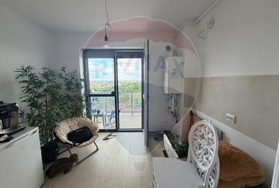 Apartament cu 3 camere semidecomandat, mobilat în Theodor Pallady - 12