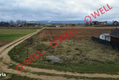 Spațiu comercial, în Reci - 1