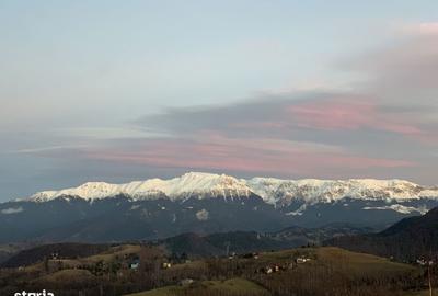 Spațiu comercial, în Șirnea - 9