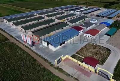 Spațiu comercial, de 25,000 mp, în Sud-Vest - 2