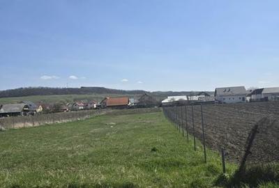 Teren de 1400 mp, în Satu Mare