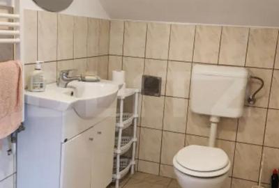 Casă cu 5 camere cu Teren 1207 Mp în Criș - 7