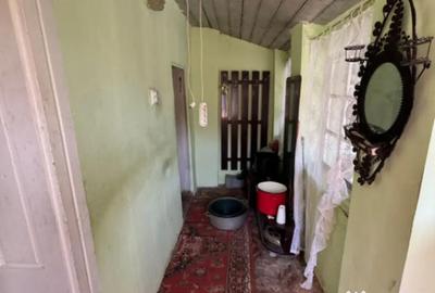 Casă cu 2 camere cu Teren 580 Mp în Ferneziu - 10