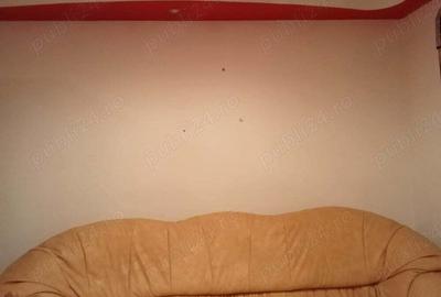 Vand sau schimb CASA Radu Negru Braila - 7