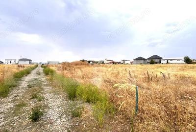 Teren intravilan, 500 mp, front 15m, strada Magnolia - 3