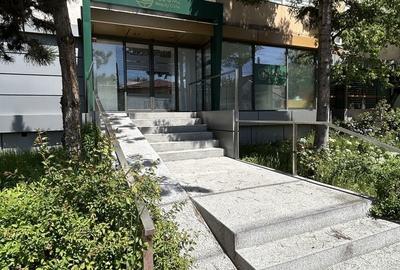 Spațiu comercial, de 80 mp, în Teilor - 1