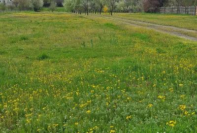 Teren de 4155 mp, în Exterior Vest - 2