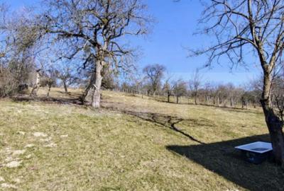 Casă cu 4 camere în Central - 2