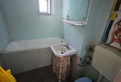Apartament 2 camere-59mp -Titulescu-Banu Manta -Victoriei - 13