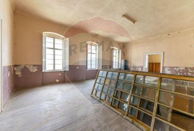 Conac aristocratic secolul XIX , domeniu  2,5 hectare -- Paulis, Arad - 9