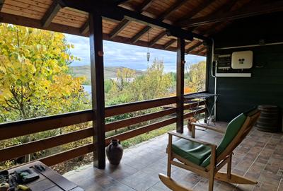 Priveliste de vis, 5 camere + anexe, teren 7000 mp, gata de mutat - comision 0%! - 8