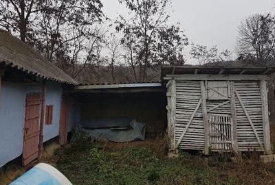 Casă cu 4 camere cu Teren 1680 Mp în Buhăiești - 3