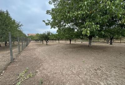 Casă cu 4 camere în Lipănești - 4