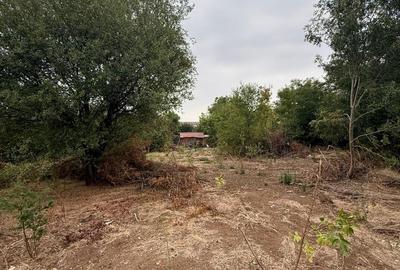 Dudu, Rosu, Chiajna, langa Padurea Roso, teren de vanzare Dudu, Rosu, Chiajna, langa Padurea Roso, teren de vanzare - 3