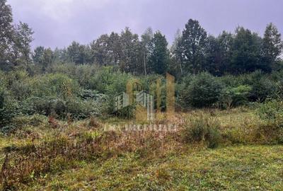 Teren intravilan Sinca Noua - 2